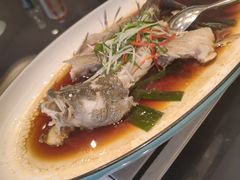 -新南华大酒店(广中店)