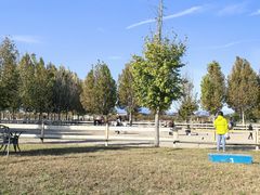 -北京群众马术培训基地