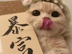 -魏家凉皮(协和店)