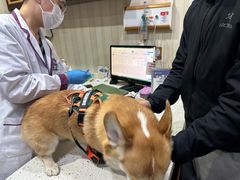 -宠爱国际动物医院·疑难骨科·心肾内科·皮肤科(太阳宫店)