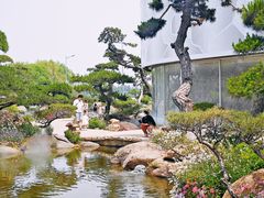 -罗红摄影艺术馆