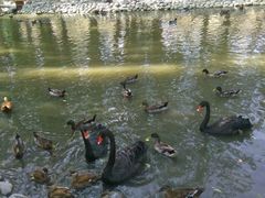 -新疆天山野生动物园