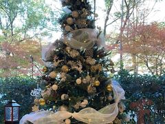 -索菲特西湖大酒店·香榭丽全日候餐厅(南山路店)