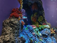 -中国湿地博物馆