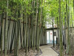 -穹六人间 people 6(岳阳路店)