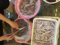 海珊瑚主题餐厅(湛江店)-御唐府海珊瑚主题餐厅