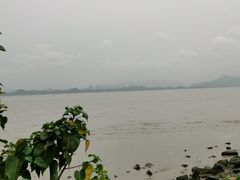 -深圳湾公园(南山区)