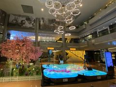 -上海银星皇冠假日酒店