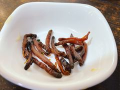 -胡仕光陵水酸粉
