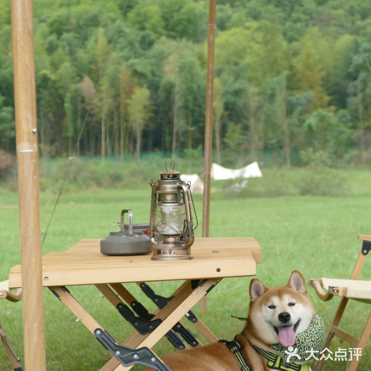 湖州安吉小杭坑营地｜可以带着狗狗🐶去的露营⛺地️