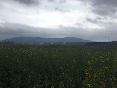-光明小镇欢乐田园