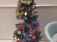 -台盖(群星城店)