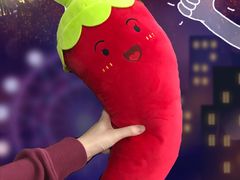 海底捞小辣椒-海底捞火锅(金光华店)