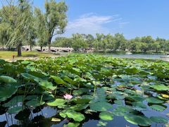 -承德避暑山庄景区
