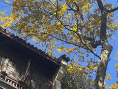 -韬光茶庵
