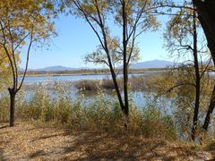 -野鸭湖国家湿地公园