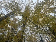 -渤公岛生态公园