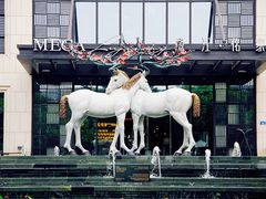 -鹭江潮餐厅•福建菜(鹭江佲家酒店)