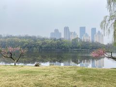 -月湖风景区