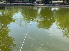 -酷鱼垂钓CLUB(朝阳区博大路店 )