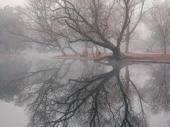 -上海共青森林公园