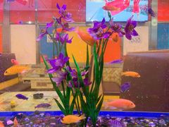 -新辉港式茶餐厅(北栅店)