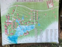 -象山森林公园