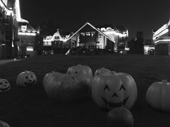 -天津津利华酒店