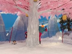 -长沙湘江欢乐雪域