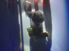 -水月周庄铂尔曼酒店-水月荟中餐厅