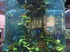 -福州罗源湾海洋世界旅游区