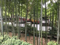 -杭州黄龙洞