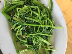 -兴隆槟榔园休闲农庄