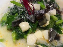 -雀舞云南菜(乐客城店)