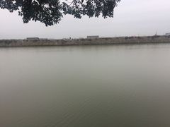 -大湾区中央湿地公园