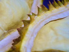 -百果园PAGODA(应元路店)