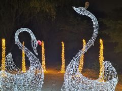 -昆山城市生态森林公园