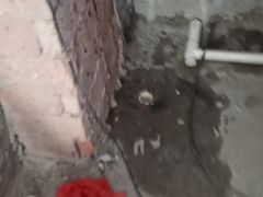 -天津啄木鸟数码维修