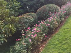 -杭州城北体育公园