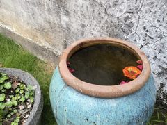 -诗莉莉·厚德堂私房菜