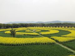 -苏州太湖西山岛开心农场