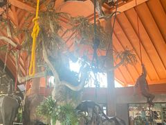 -清迈夜间动物园