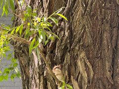 -哈尔滨文化公园