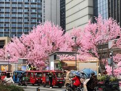 -首开·龙湖成都西宸天街