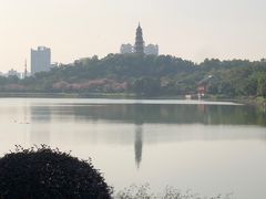 -顺峰山公园