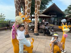 -西霞口神雕山野生动物世界