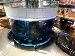-摩洛哥卡萨布兰卡购物中心