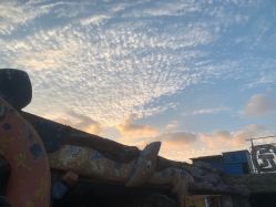 点击看大图 -宝燕乐园(闵行旗舰店)