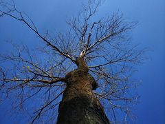 -南通博物苑-崇川人民公园