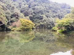 -龙井村